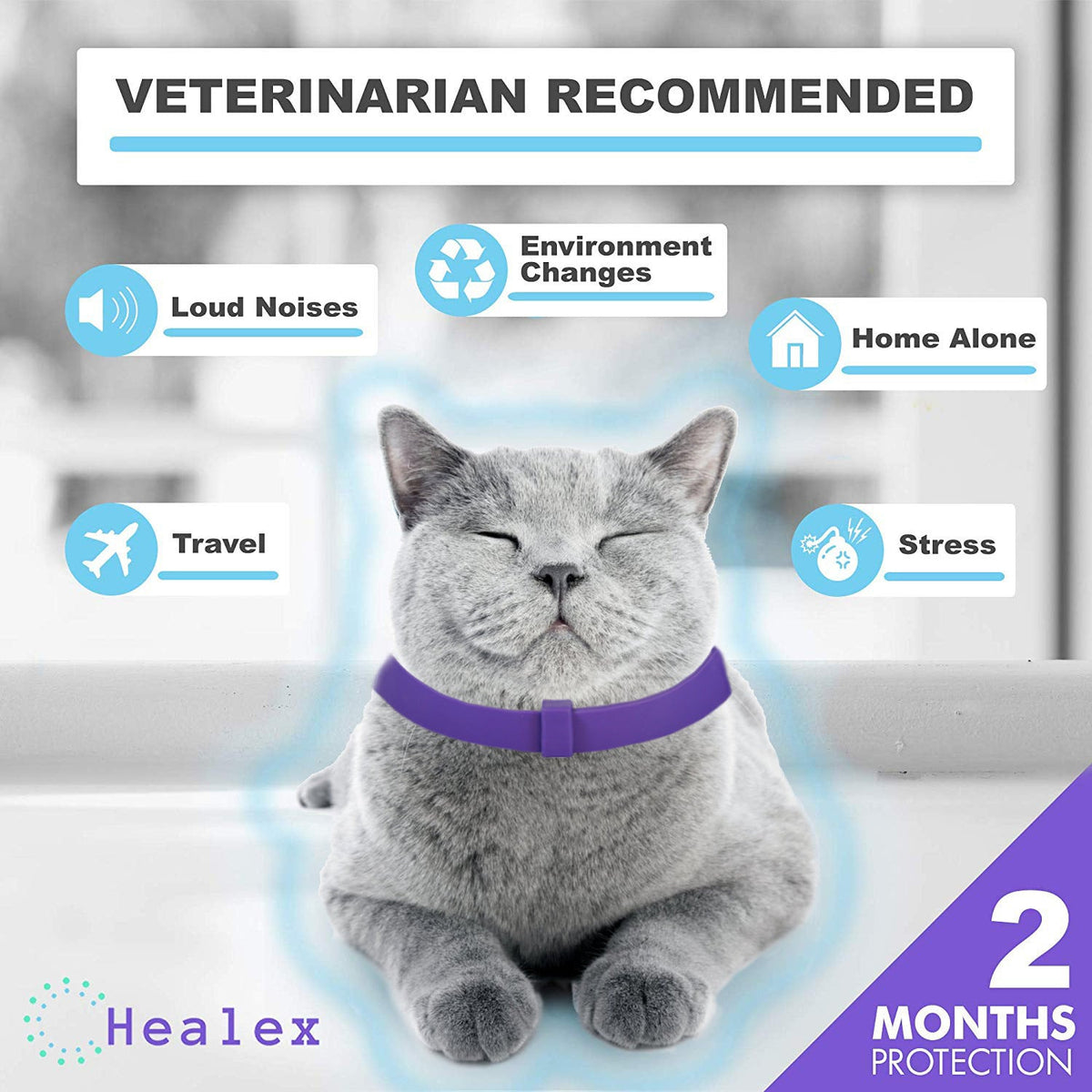 Cat Comfort Collar Relieve Anxiety - Bramble and Paw