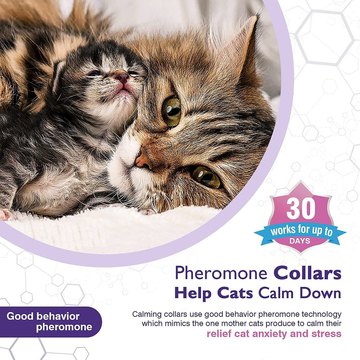 Cat Comfort Collar Relieve Anxiety - Bramble and Paw