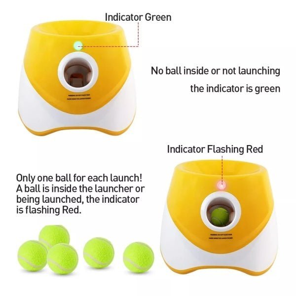 Dog Ball Throwing Machine Dogs Automatic Ball Launcher Indoor Outdoor - Bramble and Paw