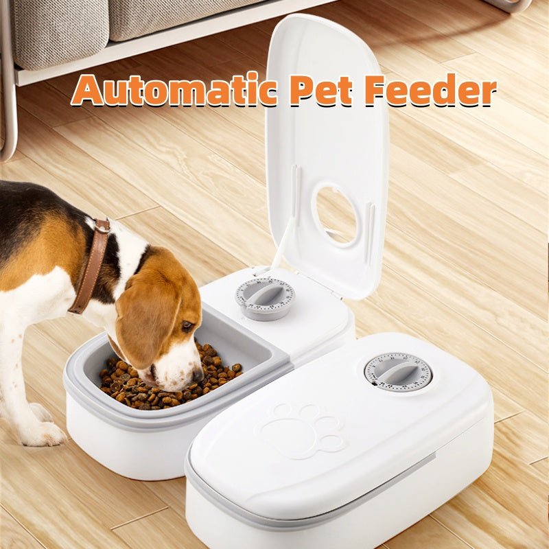 Gravity Pet Feeder & Water Dispenser — 2-in-1, No Electricity - Bramble and Paw