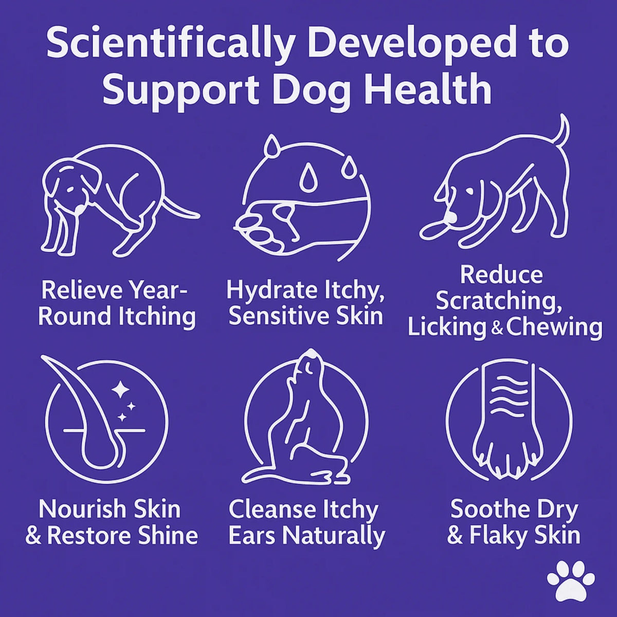 Salmon-flavoured soft chews for dog skin and coat support