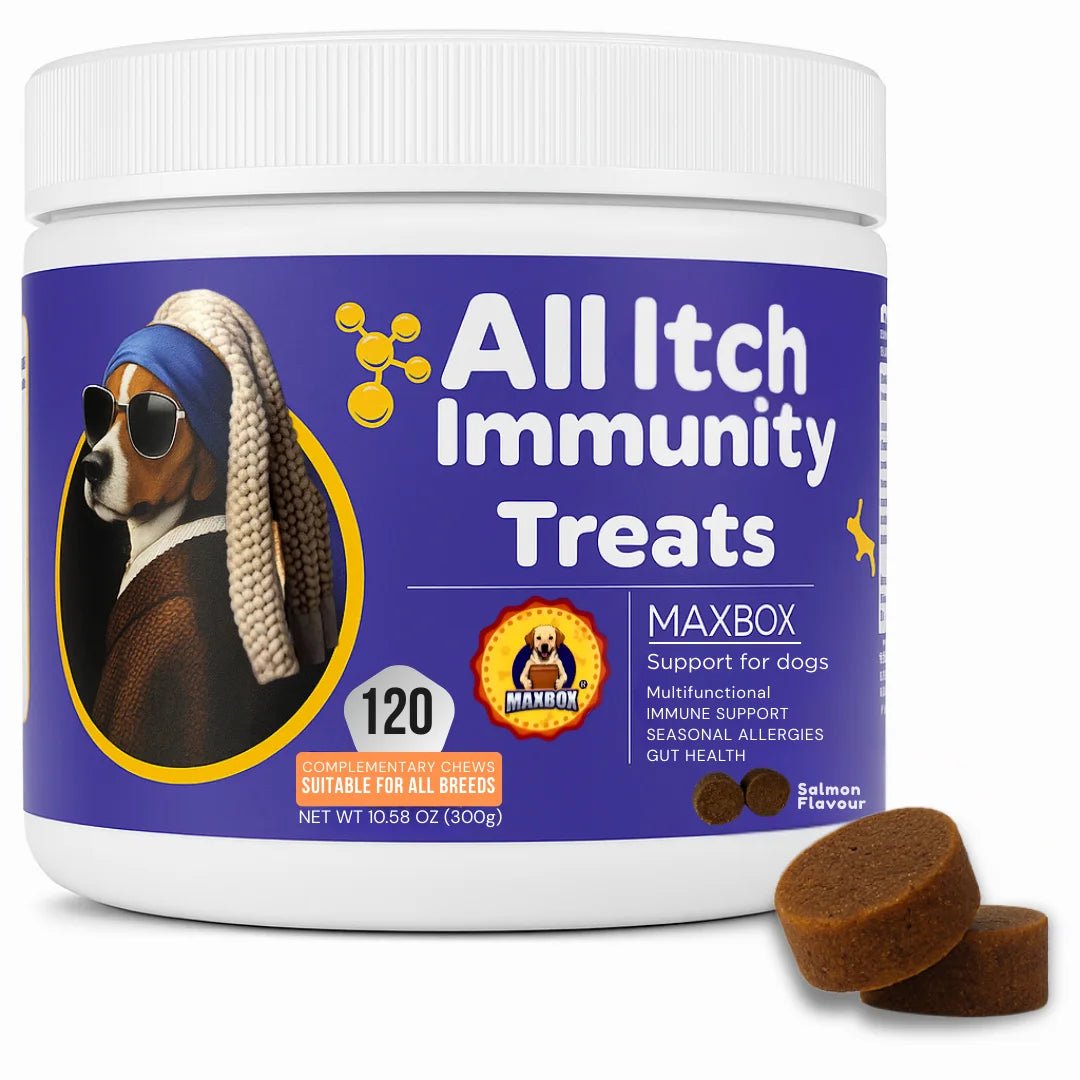 Itch & Skin Support salmon chews for dogs, tub of 120 soft chews