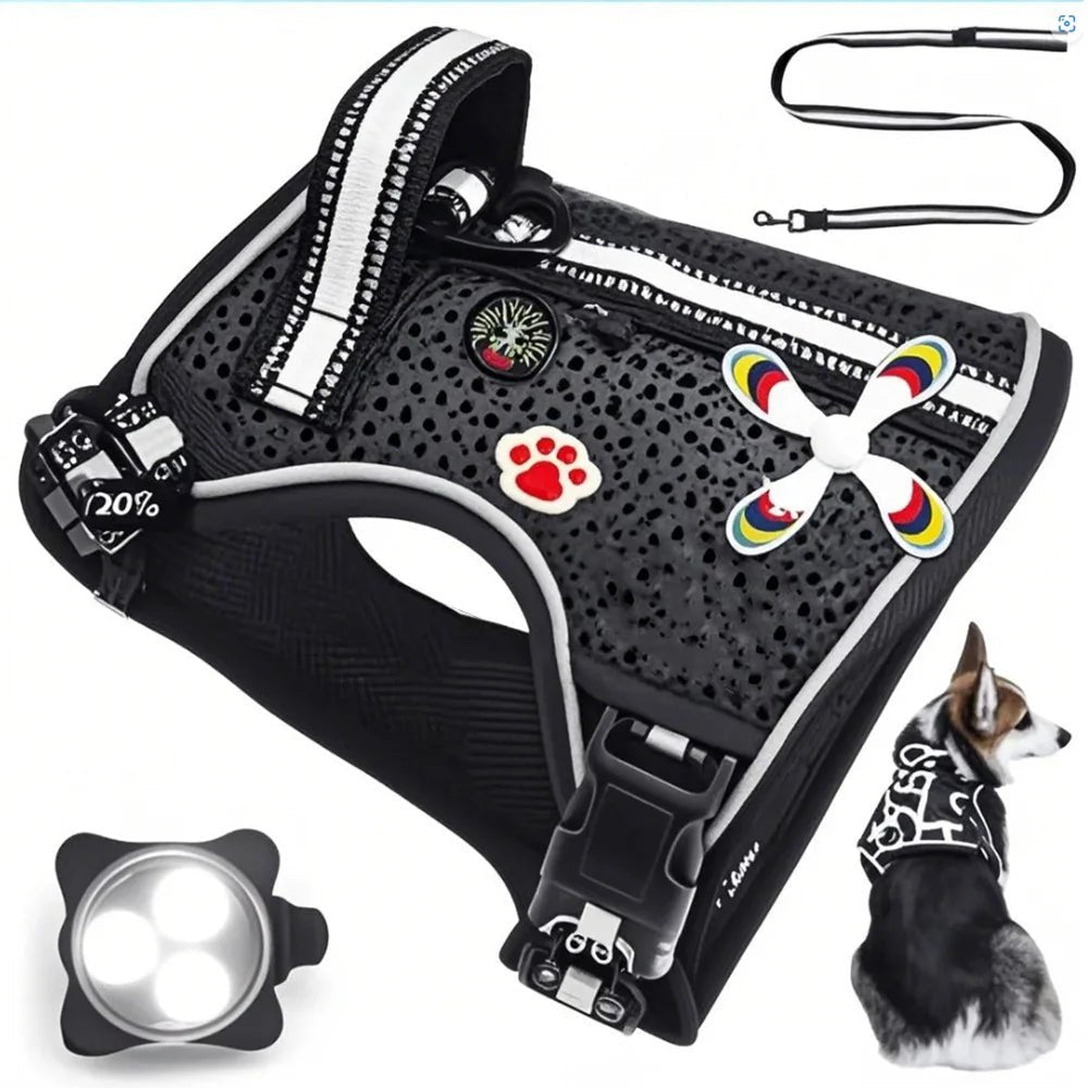 No-Pull Breathable Mesh Dog Harness - Bramble and Paw