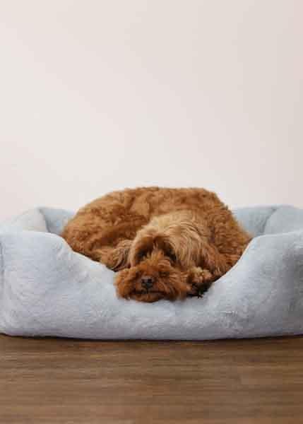 Rosewood Fur Blue Box Dog Bed - Bramble and Paw
