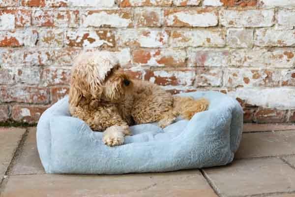 Rosewood Fur Blue Box Dog Bed - Bramble and Paw