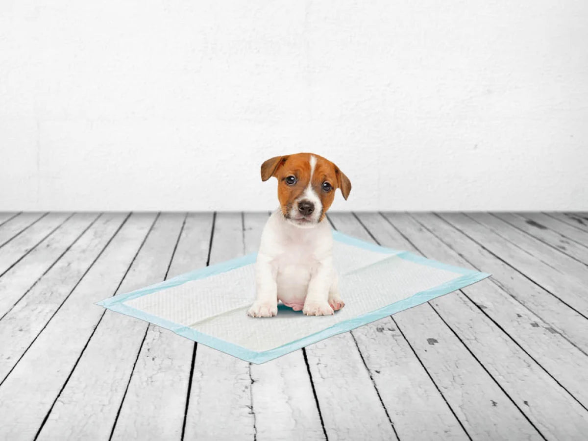 Savic Puppy Trainer Pads - 30 Pads - Bramble and Paw