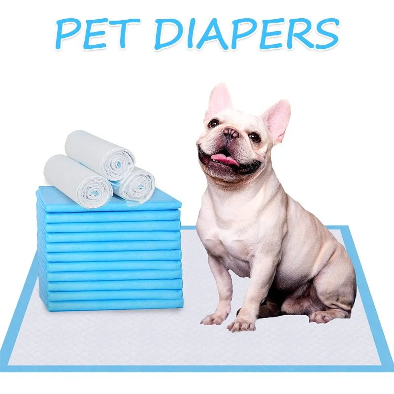 Super-Absorbent Pet Training Pads — 100 Pack - Bramble and Paw